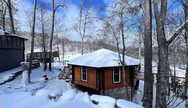 Skiers Paradise! Lower level of ski in - ski out duplex