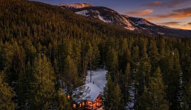 SkiHytte🎿 Scandinavian Cabin 🪵 Forest Views 🌲 Pets OK 🐶 $0 Cleaning Fee