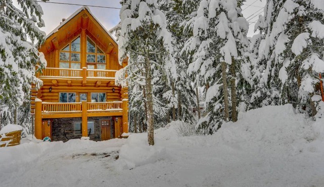 Skiing Bear Chalet