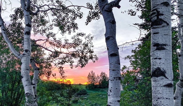 Skiing, Fishing, Hiking this log home is the perfect location to create memories