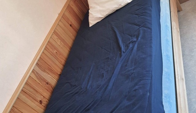 Skis and walks at the rendezvous, the snow is back in the Hautes Vosges