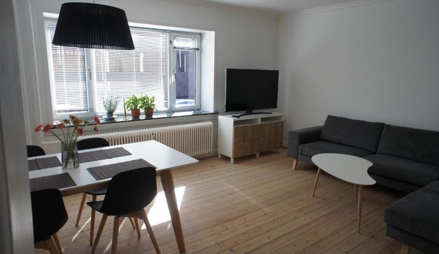 Skjoldsgade 107. Ground Floor /left (id. 052)