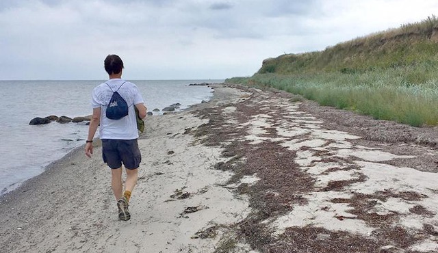 Skovly Bed & Breakfast