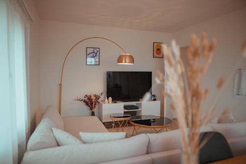 Sky Paradise 20min to zurich city centre