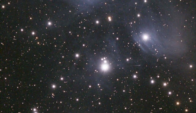 Sky Pod #2/Tree Tent 2