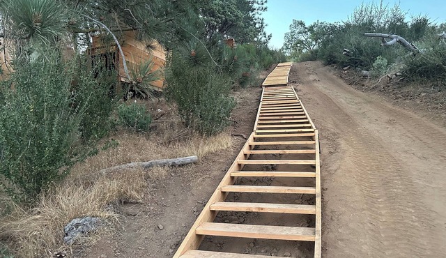 Sky Pod#3/Tree Tent #3