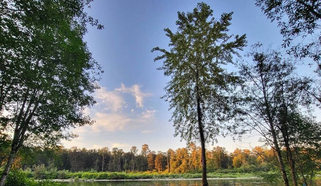 Sky River Estate 2.0 - Private & pet-friendly with sandy beach