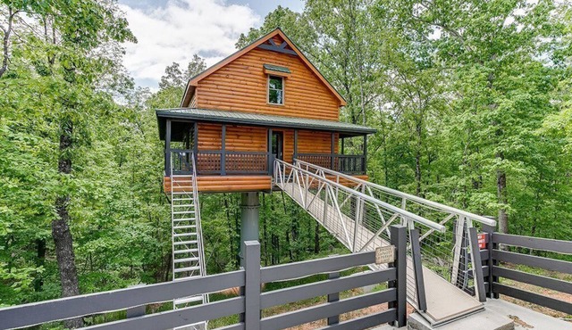 Sky's the Limit Treehouse Cabin