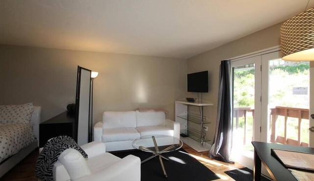 Skyland Lodge, Super cute studio, hot tub