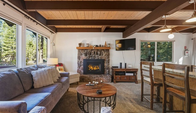 Skyline Divine – Pet-Friendly Retreat Near Hiking | COH0885