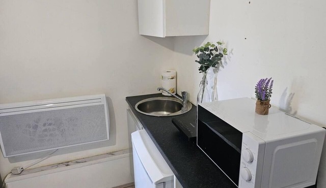 Skyline king studio room 201