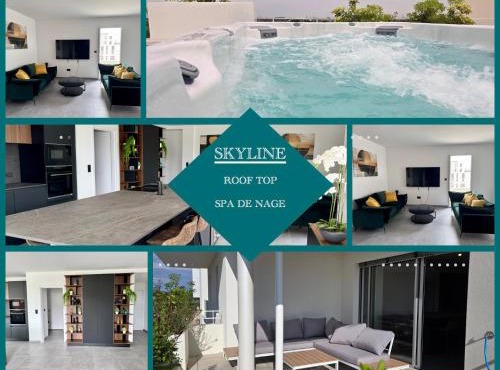 Skyline Rooftop Swim Spa