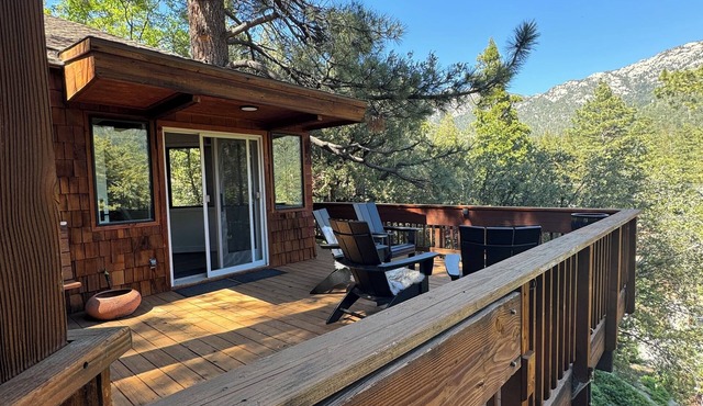 Sleek & cozy treehouse cabin w/brand new bathrooms, walk to town, A+ views!