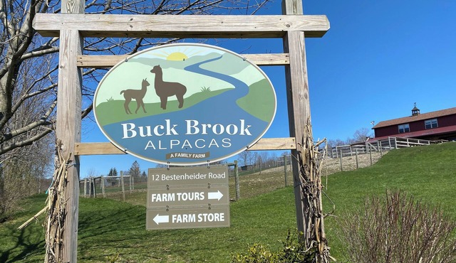 Sleep above the alpacas! One-of-a-kind Catskills Loft! Amazing views, sleeps 6!