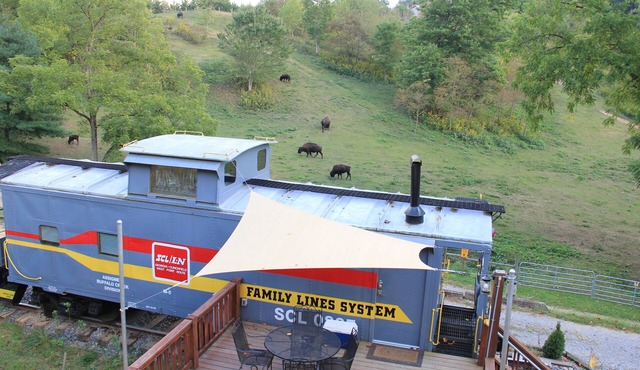 Sleep in a caboose on a 65 acre buffalo ranch!