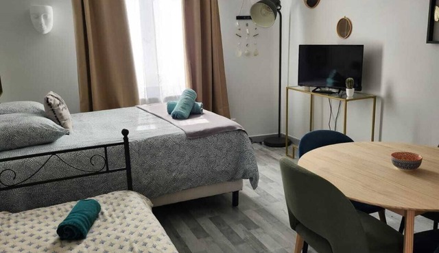 ★ ★ ★Sleep'in orleans-comfortable and cosy studio
