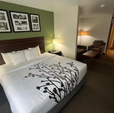 Sleep Inn & Suites Conference Center Eau Claire North