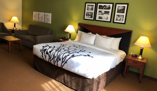 Sleep Inn & Suites Shamrock