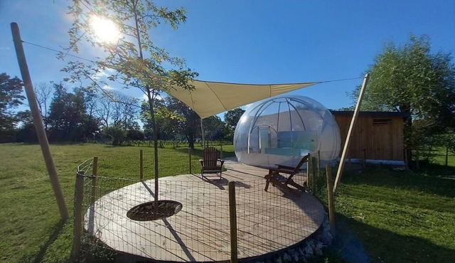 Sleep under the starry night sky in our "Bulle des Alpagas.