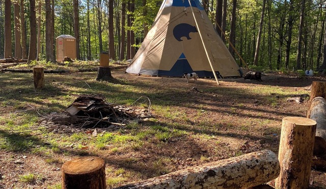 Sleep under the trees in a Native American Tipi - off-grid glamping experience!