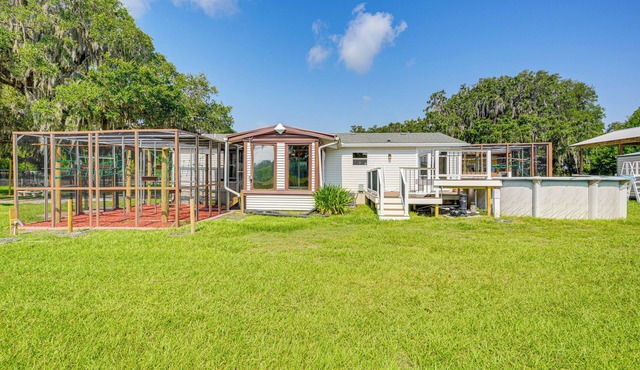 Sleep With Sloths & Lemurs! Modern Webster Home