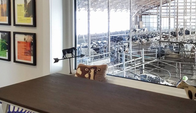 Sleep with the Cows @ New Day Dairy GuestBarn