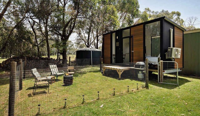 Sleeping Amongst Animals by Tiny Away