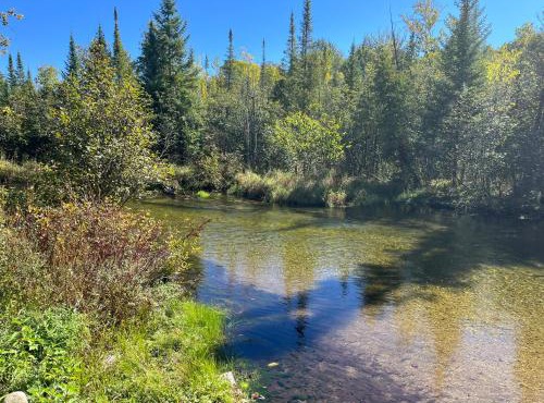 Sleeping Bear Riverside Cabins