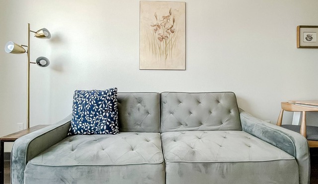 Sleepover: Alluring 1BD/1BA + High Ceilings - Des Moines