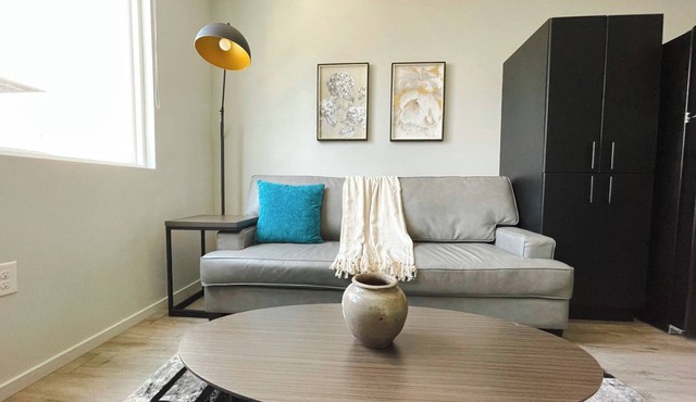 Sleepover: Chic 1BD/1BA + Gym - Downtown Omahan