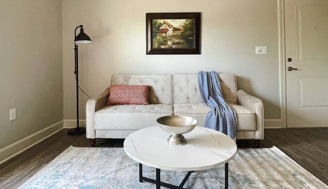 Sleepover: Dazzling 1BD/1BA + Gym - Little Rock