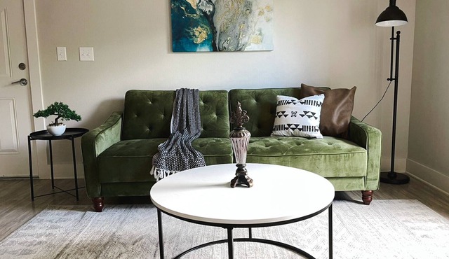 Sleepover: Stunning 1BD/1BA + Gym - Little Rock