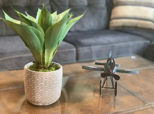 Sleeps 16! Spacious Yard, Secluded, 8 Beds, with 2 Full Bathrooms, and 2 Half Baths!