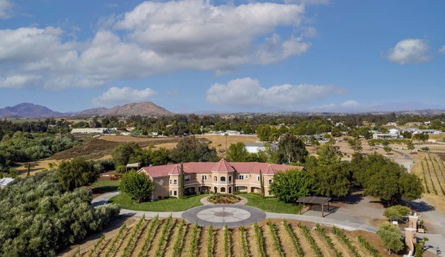Sleeps 20 | Vineyard Estate w/Resort Pool, Spa & Game Room | Wilson Creek Manor