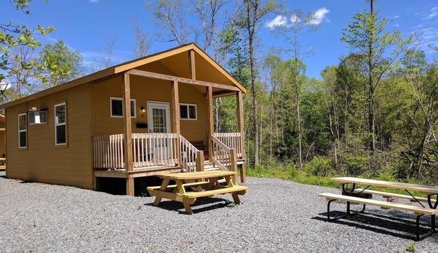 Sleeps up to 4, kitchenette, full bathroom, air conditioned/heated, free WiFi
