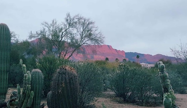 Sleepy Hollow Haven Amazing Superstition Mountain views & Jacuzzi