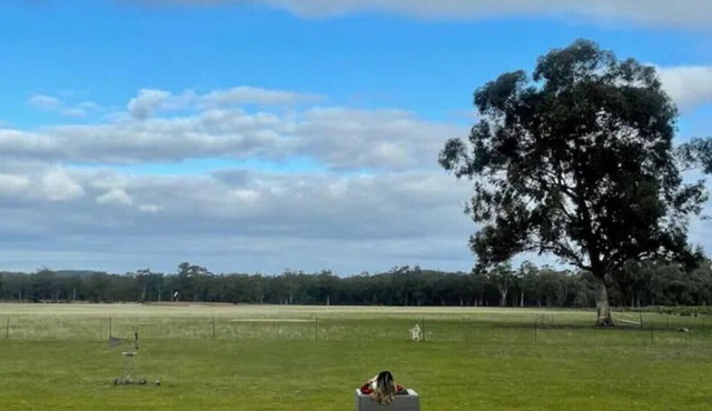 Slice of paradise! Farm stay with friendly goats