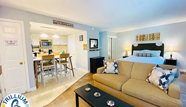 Slopeside Condo - Wifi, Linens/Towels, Ski In/Out