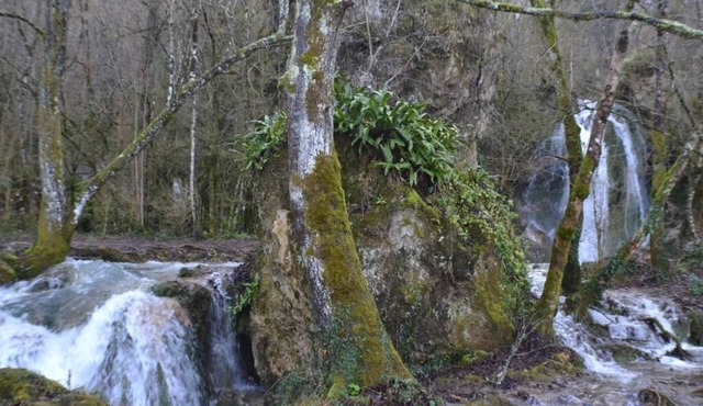 Small 18m2 chalet just a stone's throw from the waterfalls, in a relaxing location!