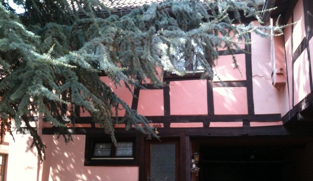 Small Alsatian House of 85m2 in Brumath