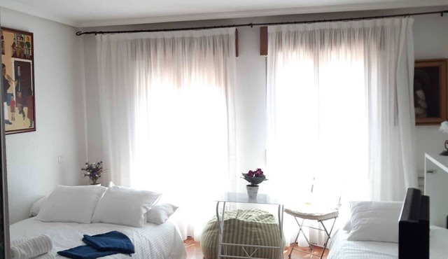 Small and Cozy apartment in Riaza