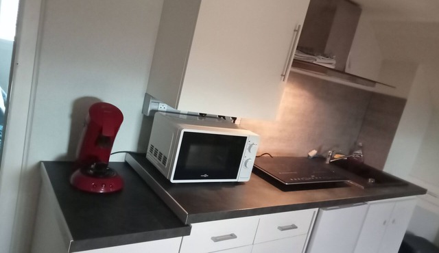 Small apartment in single-family house