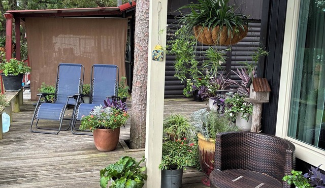 Small cabin right on the lake !