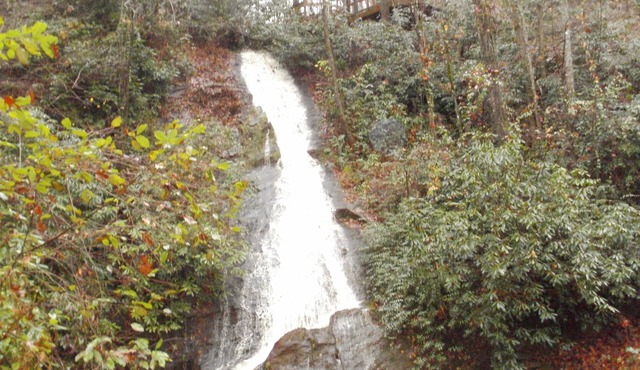 Small Cabin with 100' Private Waterfall on 24 Acres