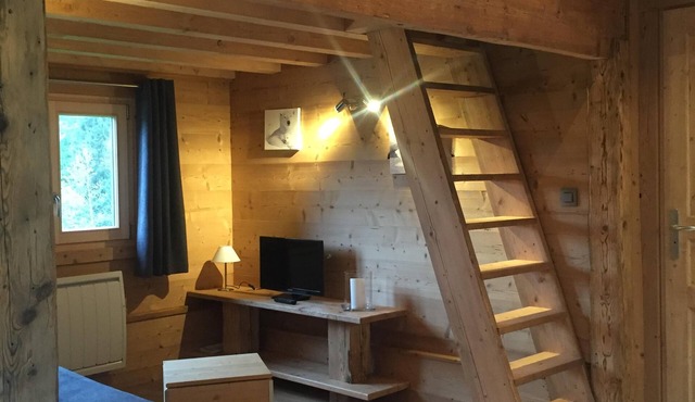 Small chalet with breathtaking views of Mont-Blanc, 5 minutes from the ski slopes