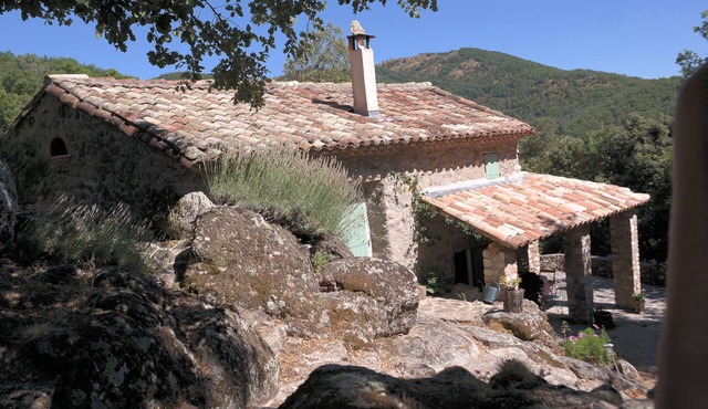 small, cozy eco-house for environmentally conscious nature-lover