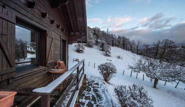 Small Cocooning Chalet in a quiet location with mountain and forest views
