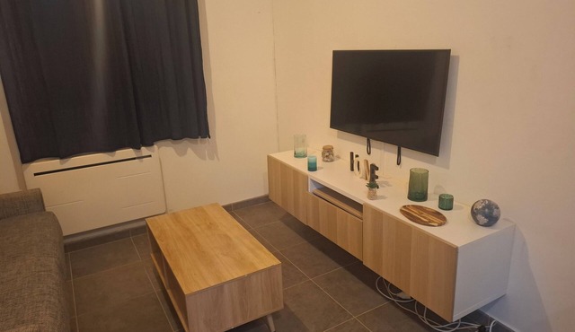 Small, cosy studio near all amenities in central Grenoble