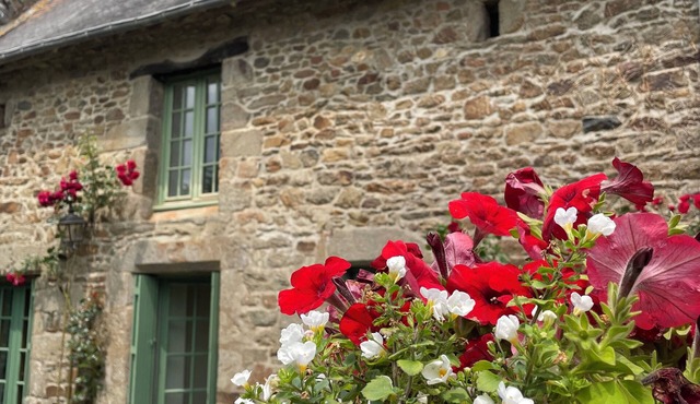 Small cottage with garden, ideal for families