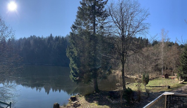 Small cottage in the heart of nature